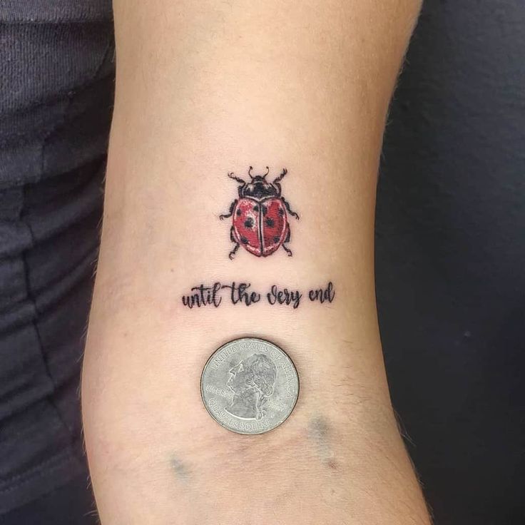 Top 31 Best Ladybug Tattoo Ideas 2021 Inspiration Guide In 2022