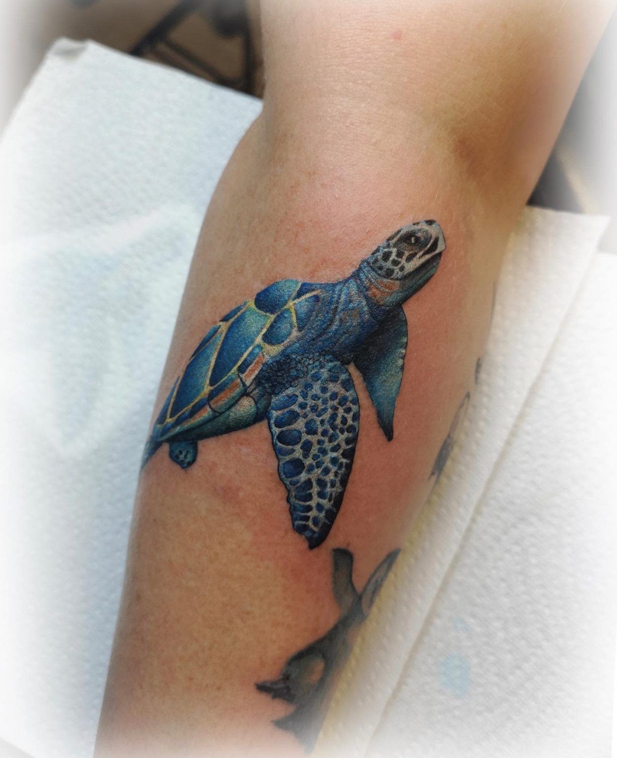 Top 81 Best Small Turtle Tattoo Ideas 2021 Inspiration Guide