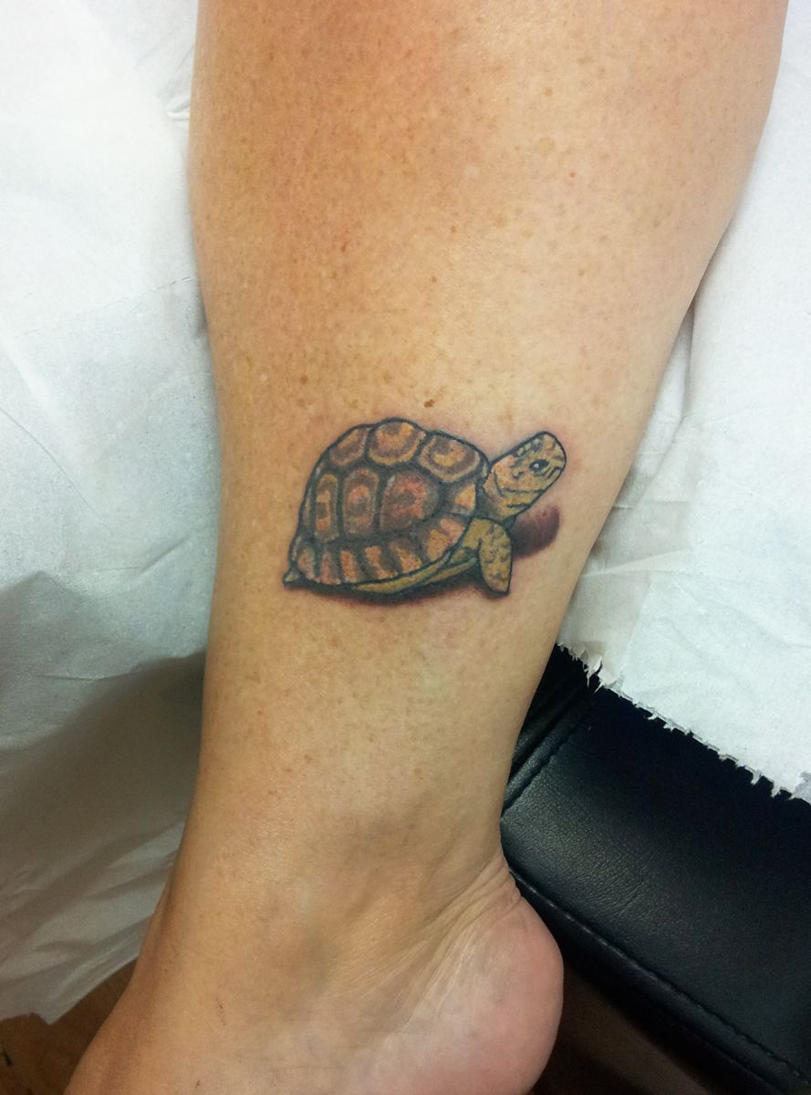 Tortoise Tattoos