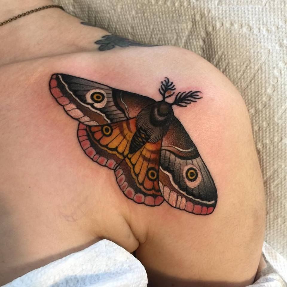 Traditional Moth Shoulder Tattoo By Matt Adamson Moth Tattoo Shoulder Tattoo Sleeve Tattoos