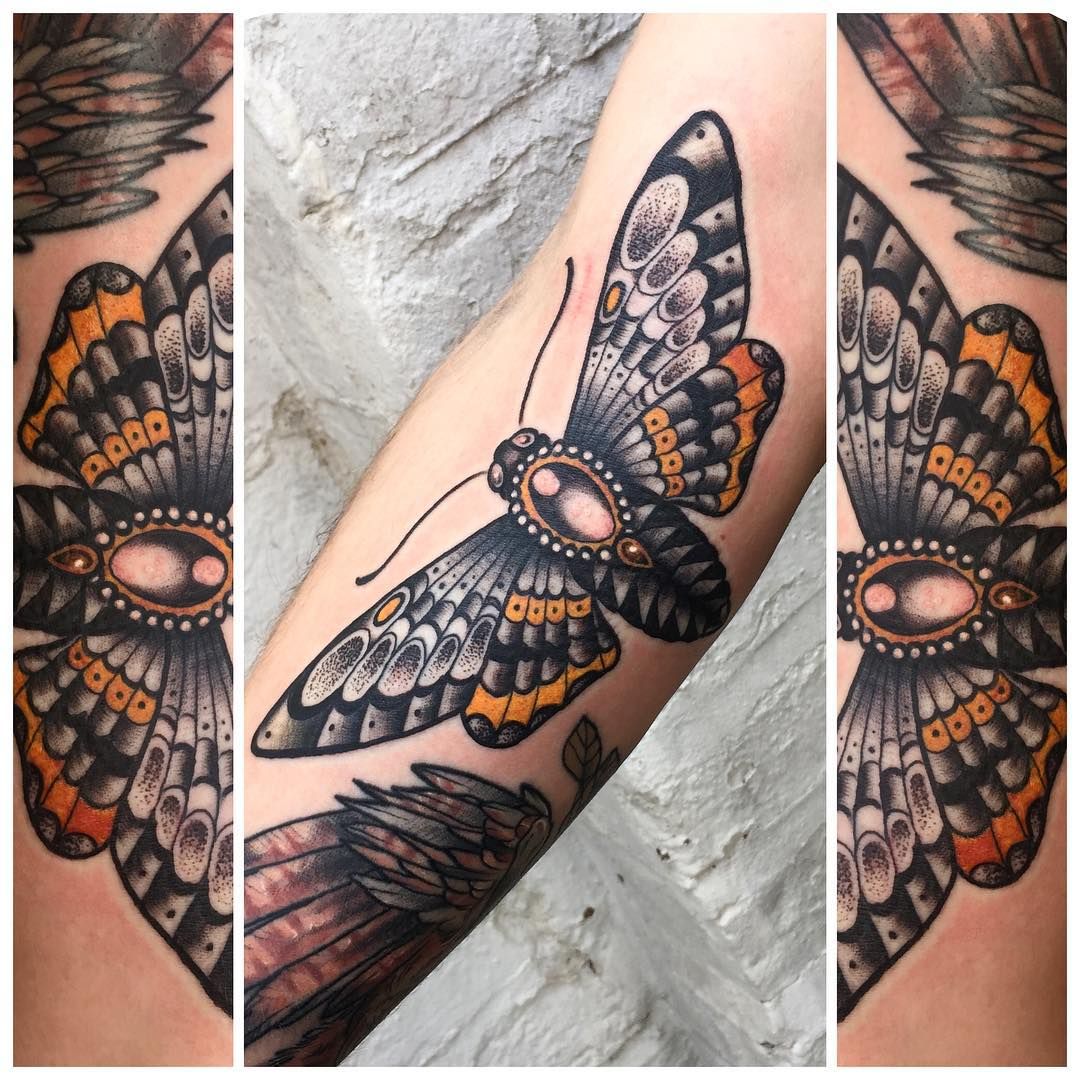 Traditional Moth Tattoo Moth Tattoo Traditional Moth Tattoo Moth