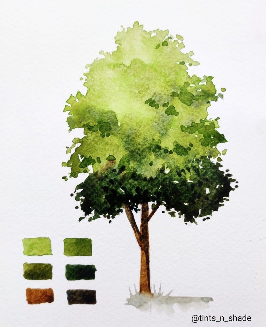 Tree Of Life Painting Watercolor Creative Fabrica