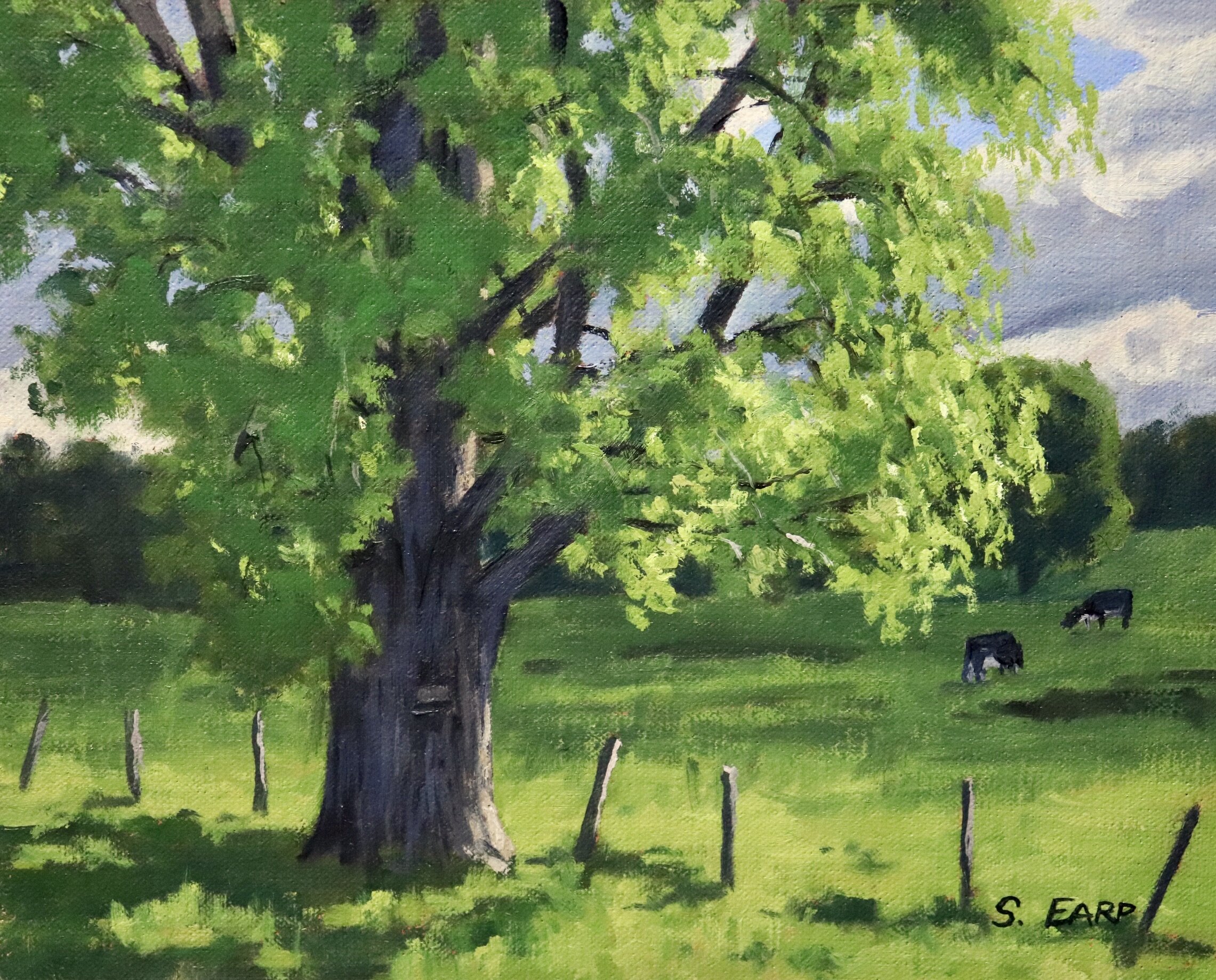 Tree Painting Town Green Com