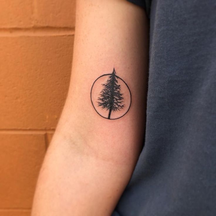 Tree Tattoo Pine Tree Minimalist Tattoo Tattooviral Com Your