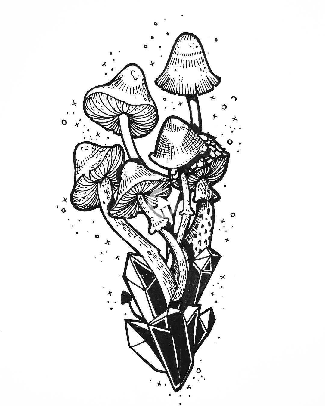 Trippy Mushrooms Sketches