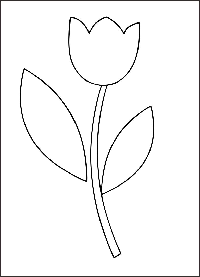 Tulip Template Printable Flower Templates Printable Free Flower