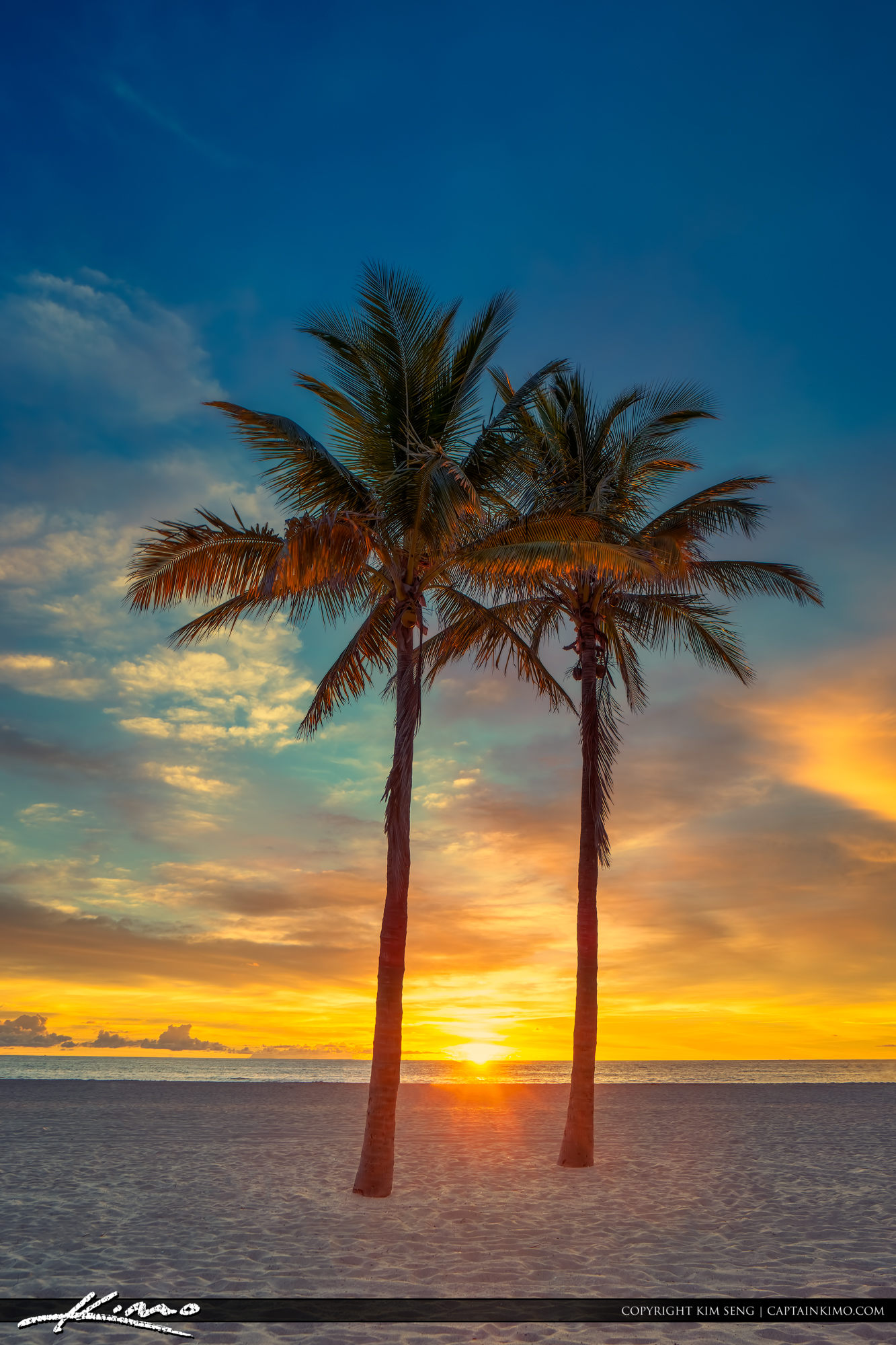 Two Coconut Palm Tree Sunrise At Beach Palm Trees Beach Beautiful