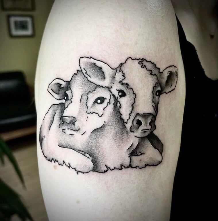 Two Headed Calf By Nicole At Lovecraft Tattoo In Hamden Ct