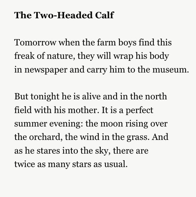 5 Insights into the Two Headed Calf Poem Meaning