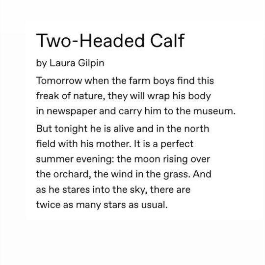 Two Headed Calf Poem Th Con B Hai U