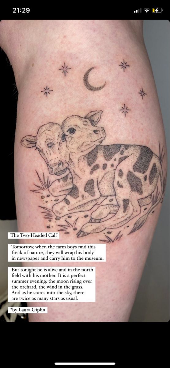 7 Amazing Ideas for Two Headed Cow Tattoos