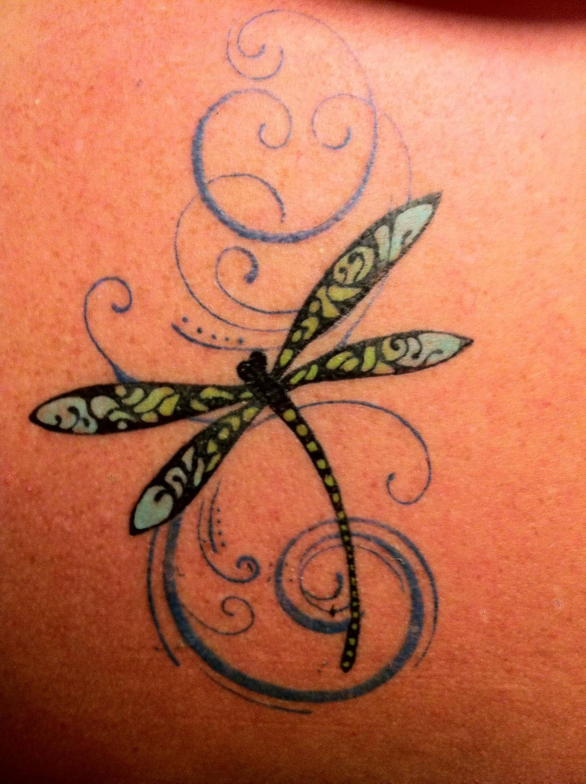 10 Unique Elegant Dragonfly Tattoo Designs You'll Love