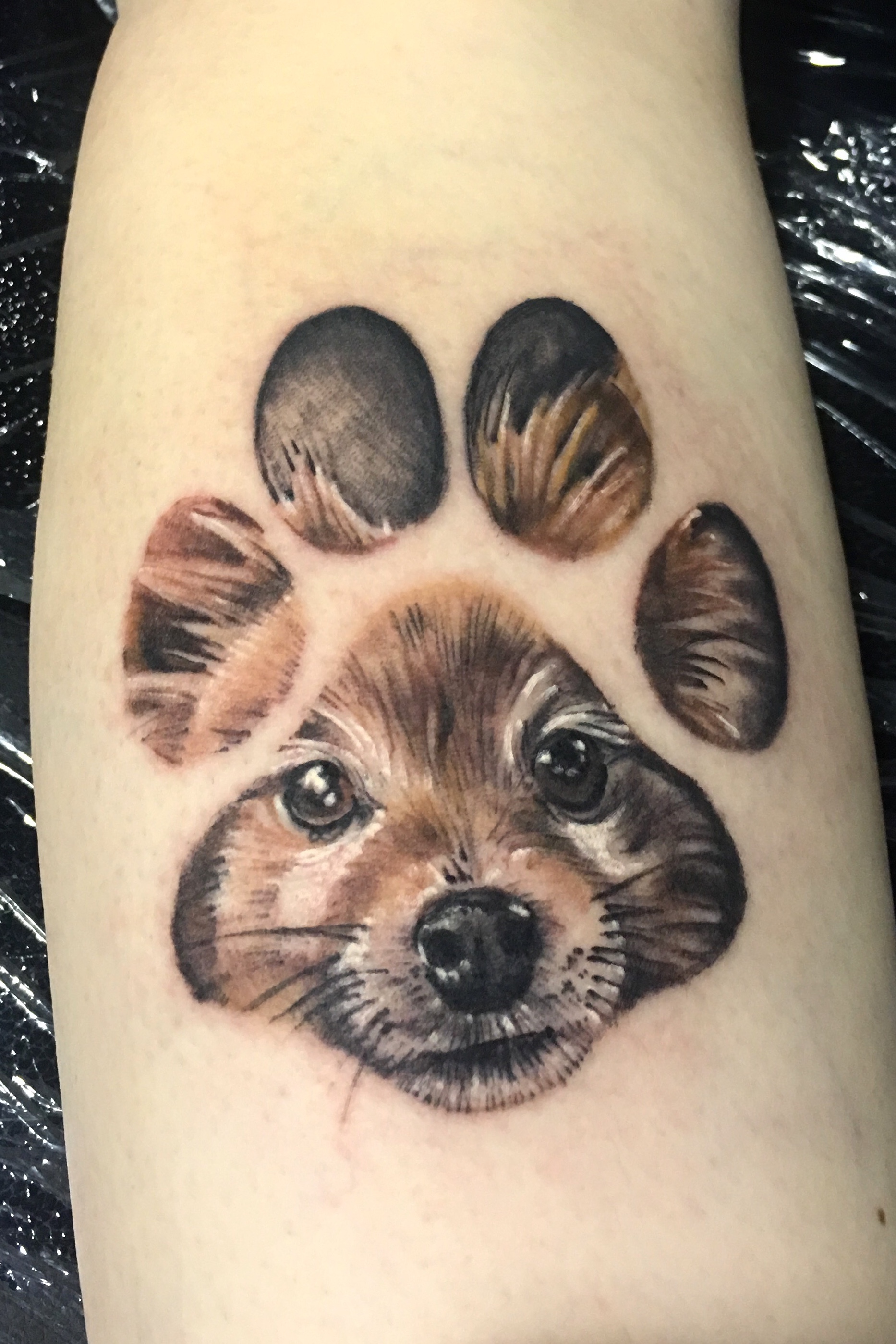 Update 56 Dog Paw Print Tattoo Latest In Cdgdbentre