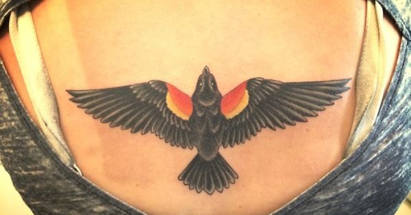 Update 66 Red Wing Blackbird Tattoo In Coedo Com Vn