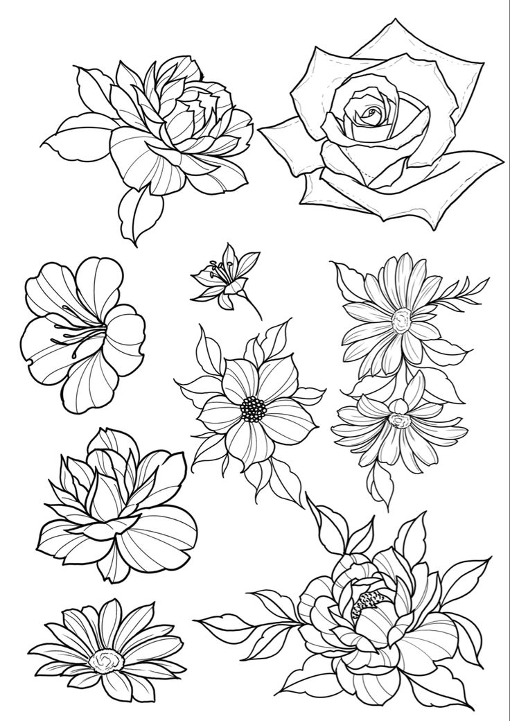 Various Flowers Tattoo Stencil Flower Tattoo Drawings Floral Tattoo Design Tattoo Design