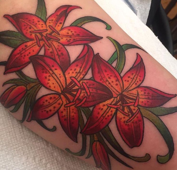 Vibrant Tiger Lily Tattoo By Kim Saigh At Memoir Tattoo Lily Tattoo