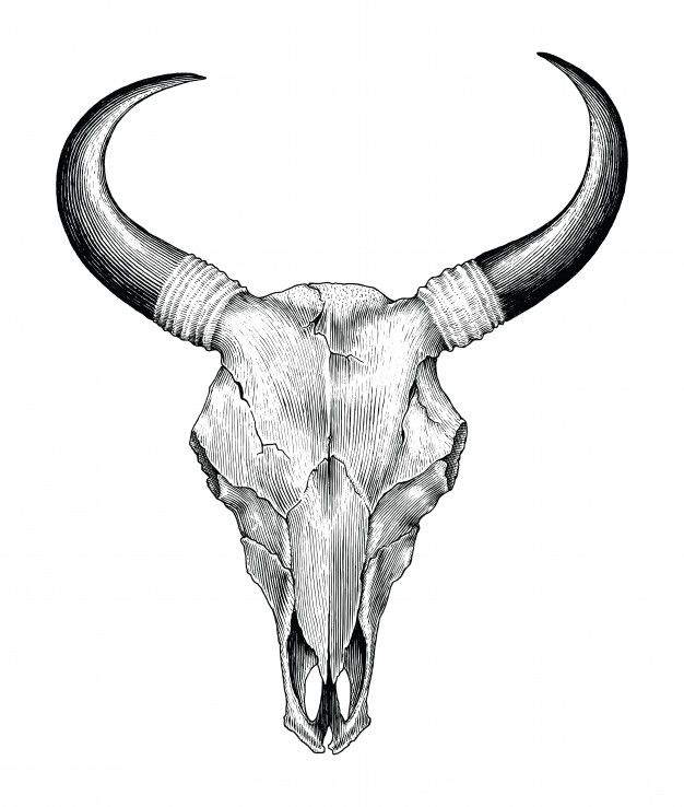 Vintage Cow Skull Tattoo Ideas: Timeless Ink Inspiration