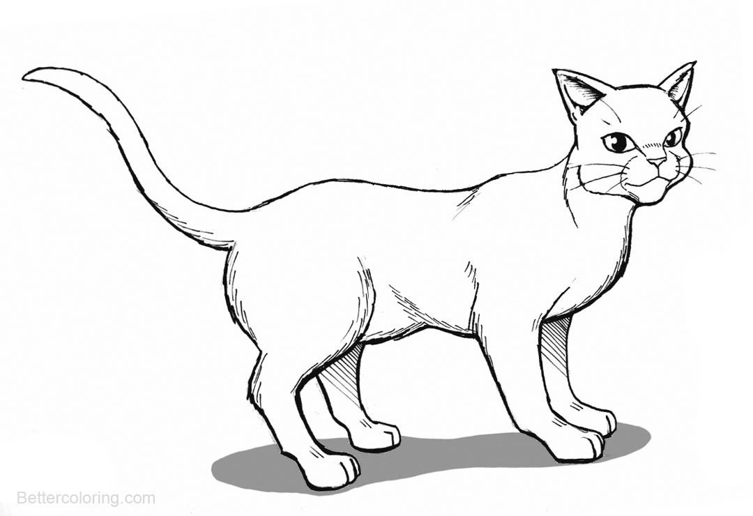 Warrior Cat Coloring Sheets for Creative Kids