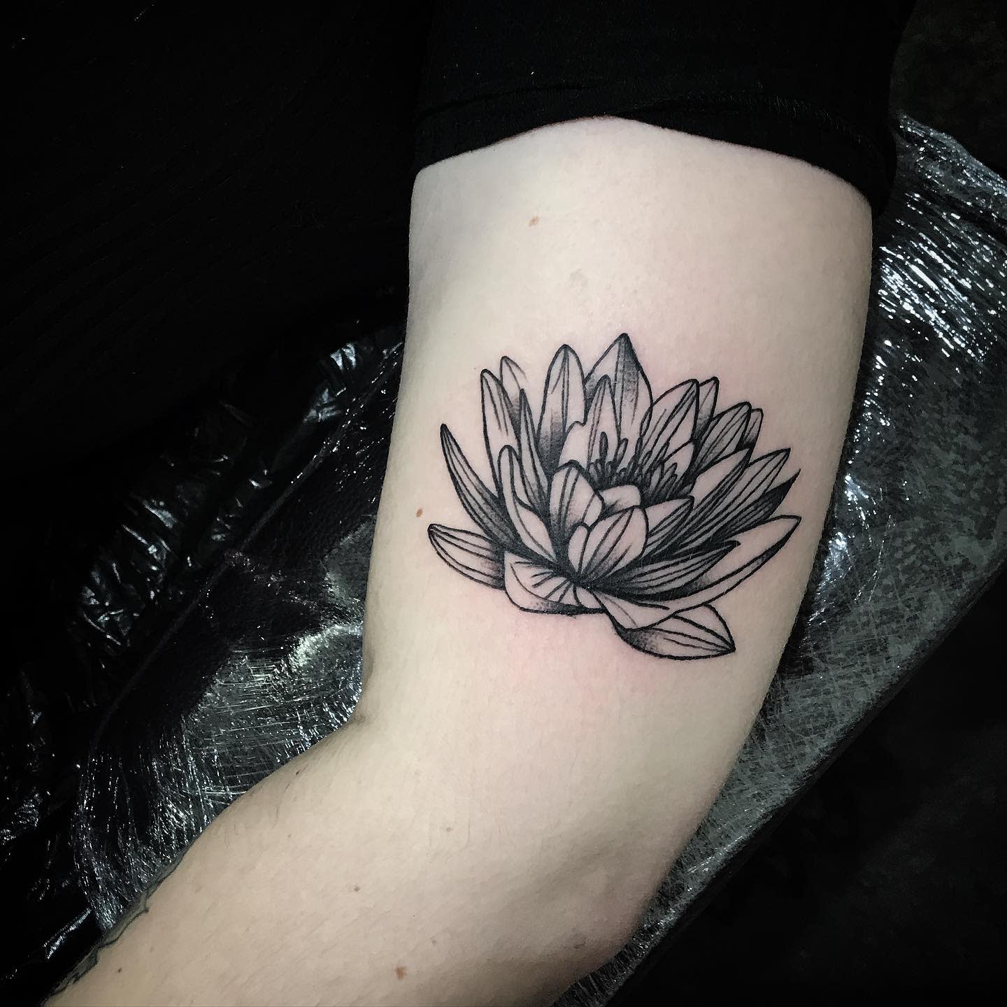 Water Lily Tattoos Artofit