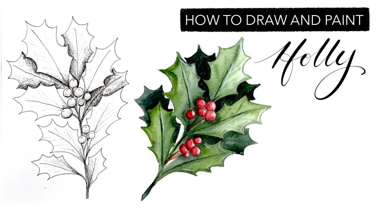 Watercolour Holly How To Draw And Paint December S Birth Month Flower