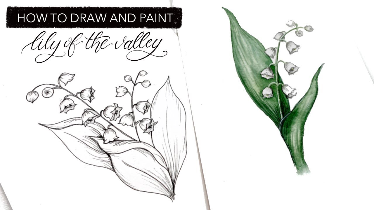 Watercolour Lily Of The Valley How To Draw And Paint May S Birth Month