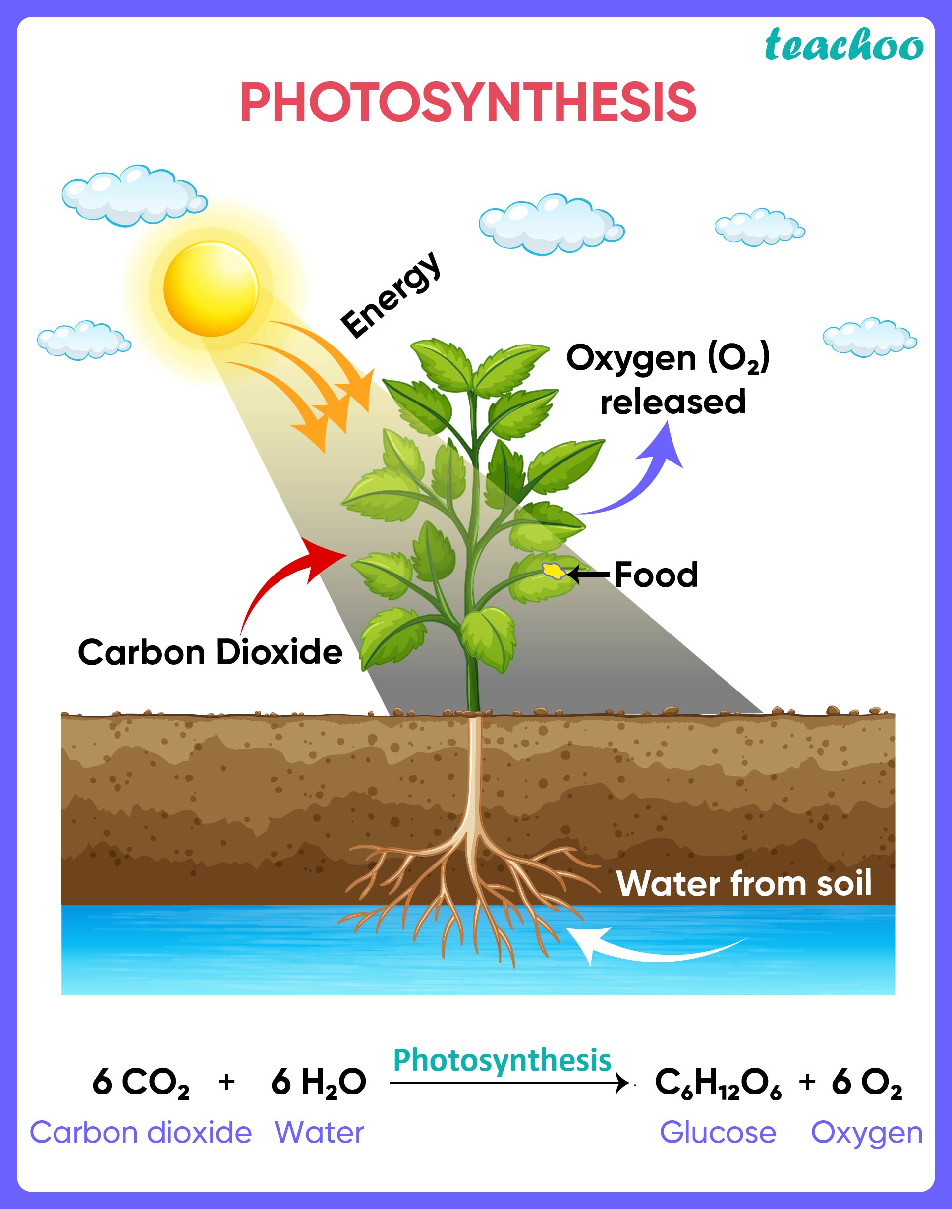 What Is Photosynthesis And How Does It Help Plants At Ali Cox Blog