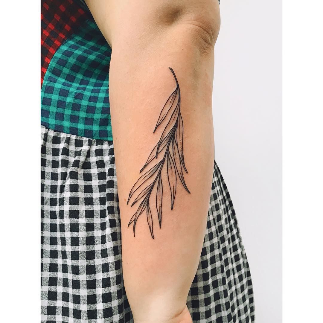 Willow Tree Branch Tattoo Meaning and Designs