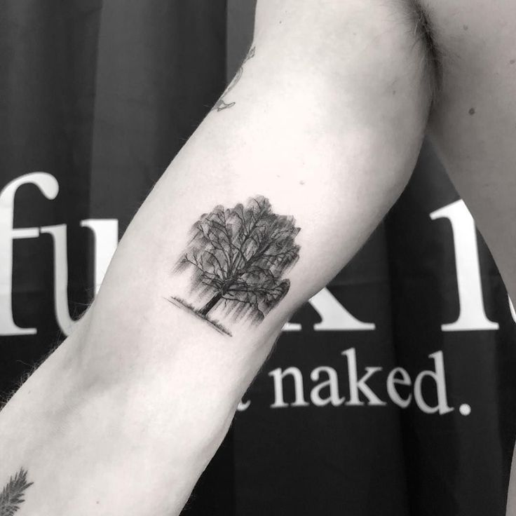 Willow Tree Tattoo Meaning A Symbolic Expression Of Nature S