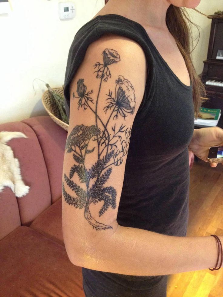 Yarrow And Queen Anne S Lace Tattoo By Jillianedward On Deviantart