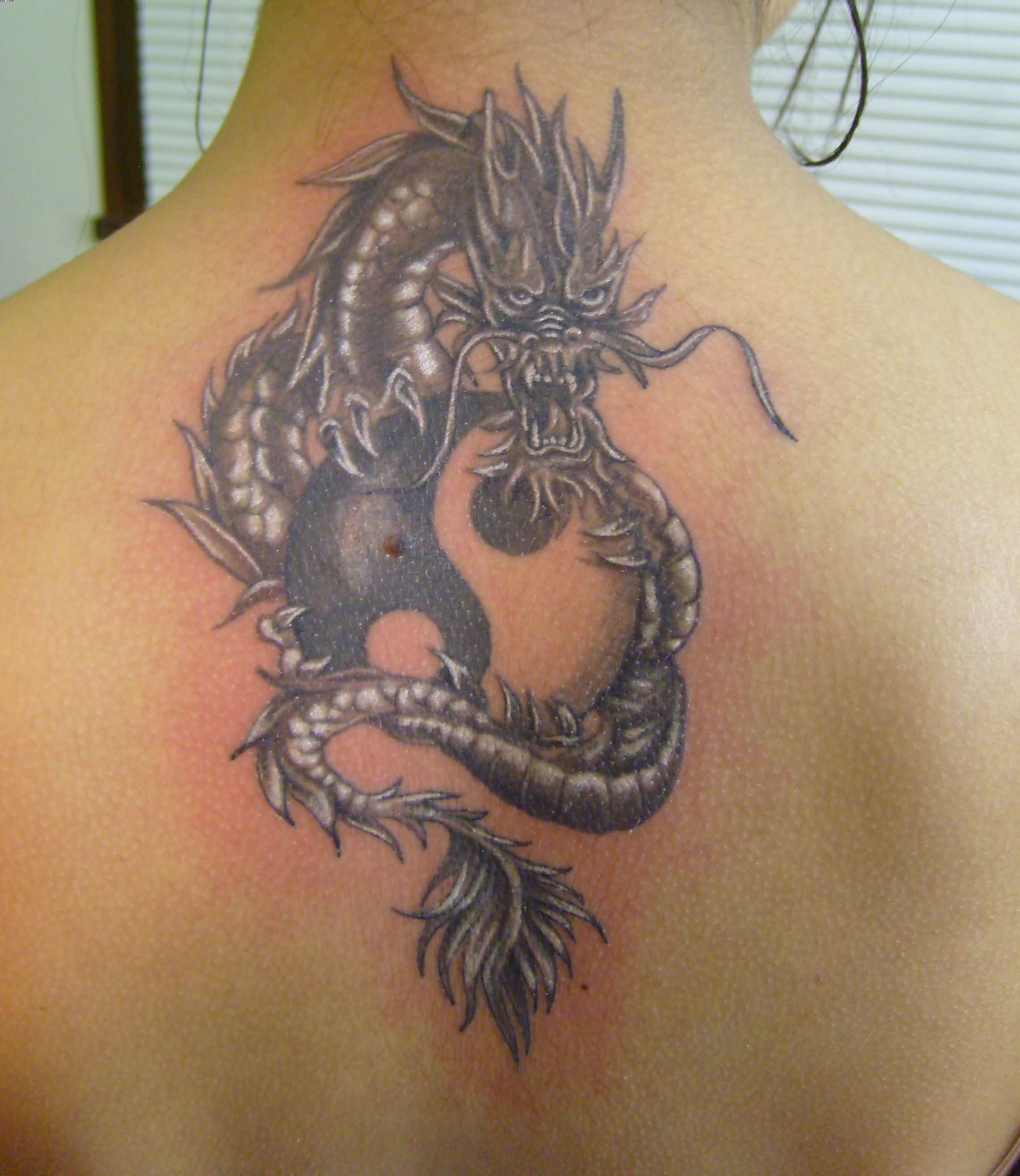 Yin Yang Tattoos Dragon Tattoo Designs Dragon Tattoo Art