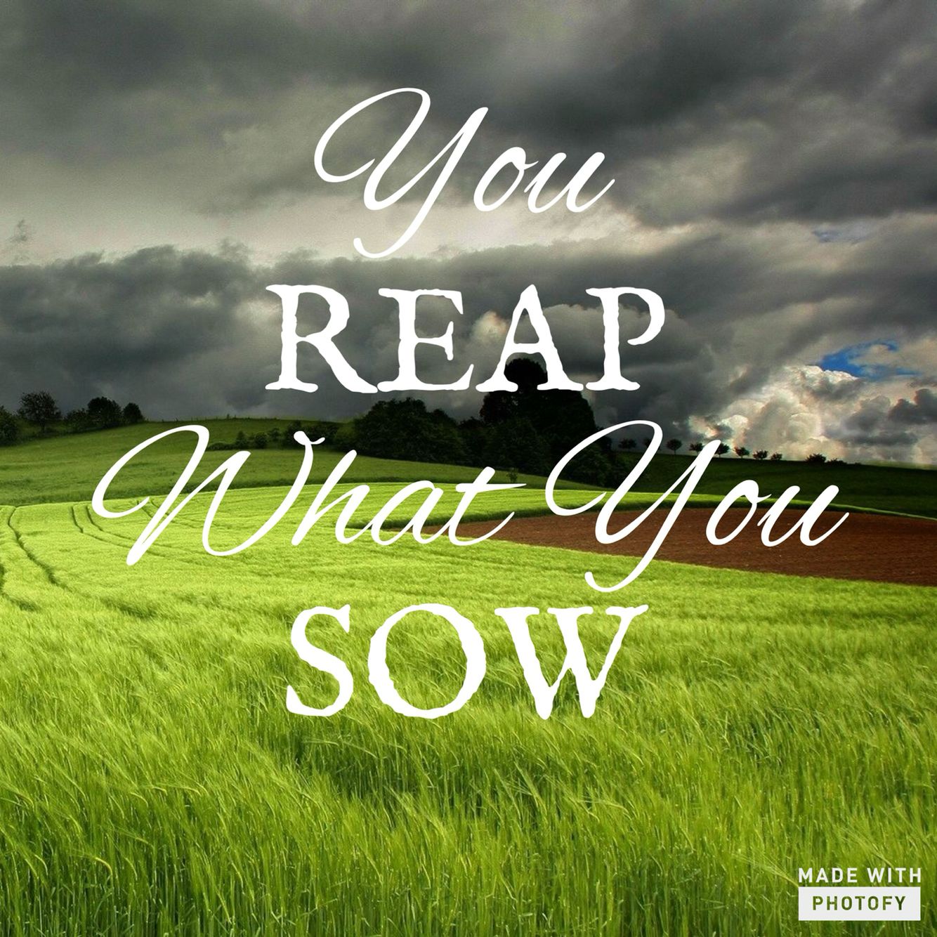 You Reap What You Sow Quotations Reap What You Sow Inpirational